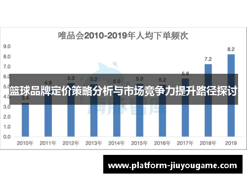 篮球品牌定价策略分析与市场竞争力提升路径探讨