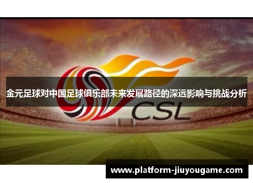 金元足球对中国足球俱乐部未来发展路径的深远影响与挑战分析