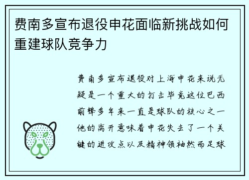 费南多宣布退役申花面临新挑战如何重建球队竞争力