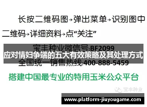 应对情妇争端的五大有效策略及其处理方式