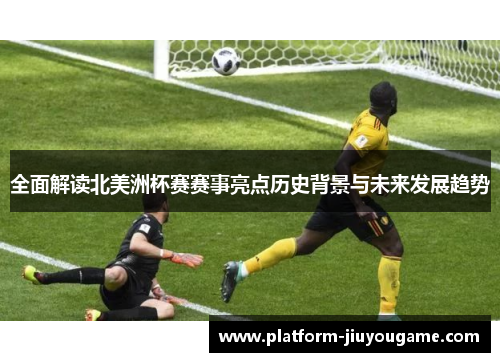 全面解读北美洲杯赛赛事亮点历史背景与未来发展趋势
